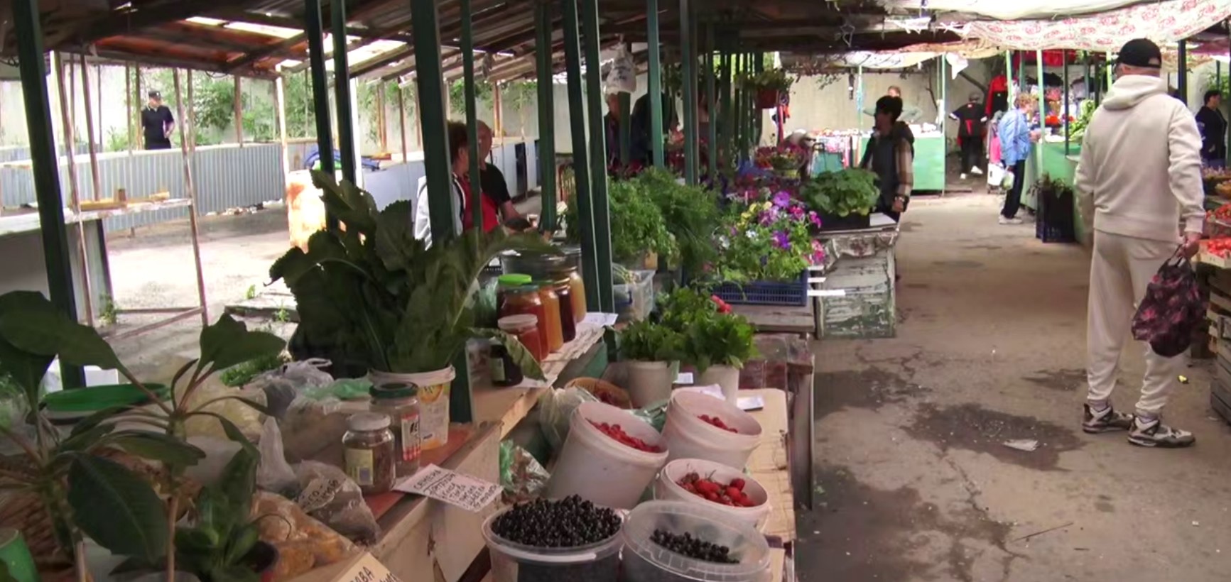 Жителей Энгельса приглашают реализовывать огородную продукцию в муниципальные ряды.